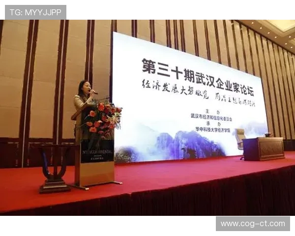 武汉企业家引领创新与发展 探索新经济时代的商机与挑战